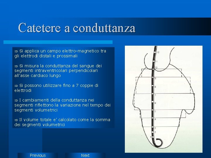 Catetere a conduttanza Þ Si applica un campo elettro-magnetico tra gli elettrodi distali e Catetere a conduttanza Þ Si applica un campo elettro-magnetico tra gli elettrodi distali e