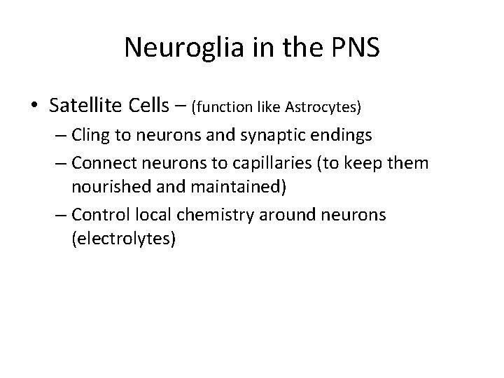 Neuroglia in the PNS • Satellite Cells – (function like Astrocytes) – Cling to