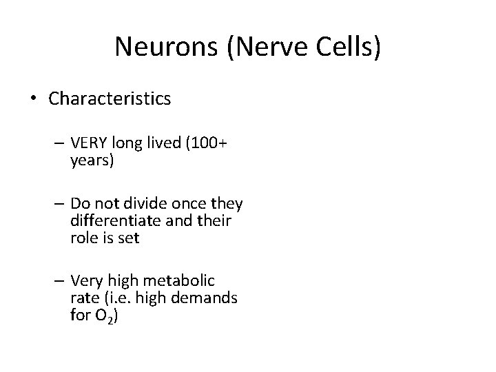 Neurons (Nerve Cells) • Characteristics – VERY long lived (100+ years) – Do not