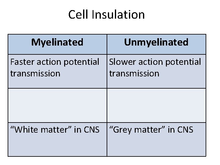 Cell Insulation Myelinated Unmyelinated Faster action potential Slower action potential transmission “White matter” in