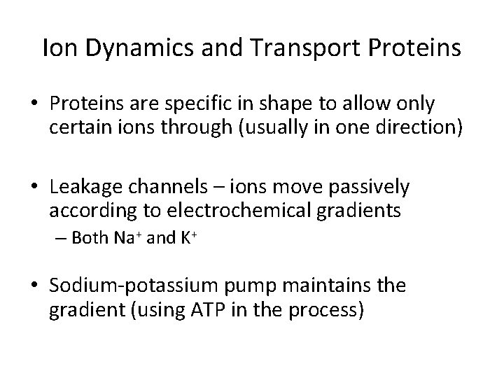 Ion Dynamics and Transport Proteins • Proteins are specific in shape to allow only