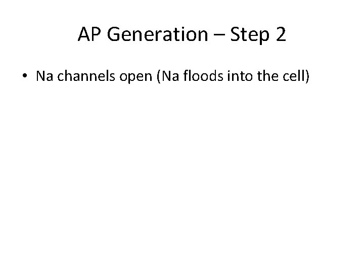 AP Generation – Step 2 • Na channels open (Na floods into the cell)