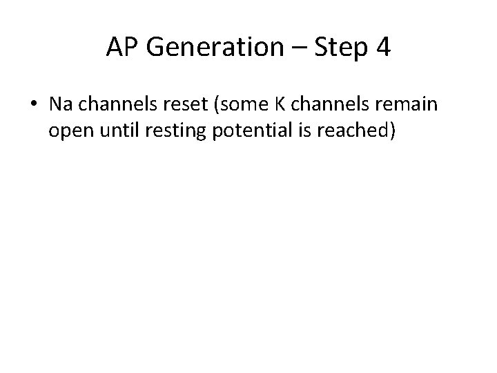 AP Generation – Step 4 • Na channels reset (some K channels remain open