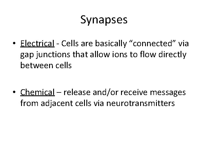 Synapses • Electrical - Cells are basically “connected” via gap junctions that allow ions