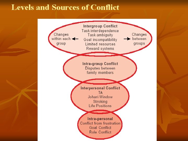 Levels and Sources of Conflict 