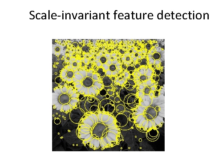 Scale-invariant feature detection 