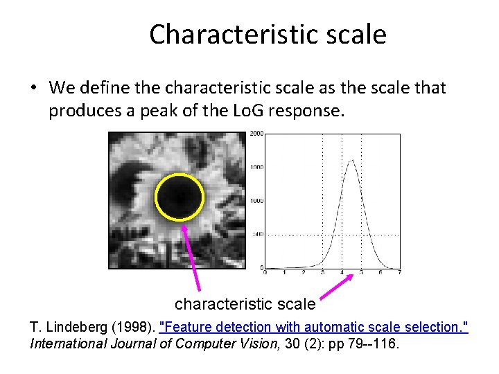 Characteristic scale • We define the characteristic scale as the scale that produces a