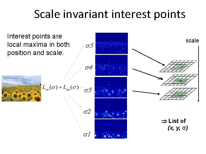 Scale invariant interest points Interest points are local maxima in both position and scale.