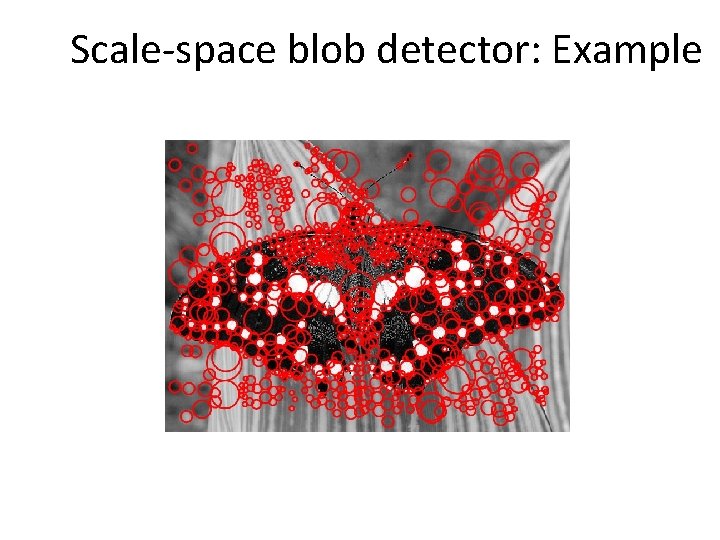 Scale-space blob detector: Example 