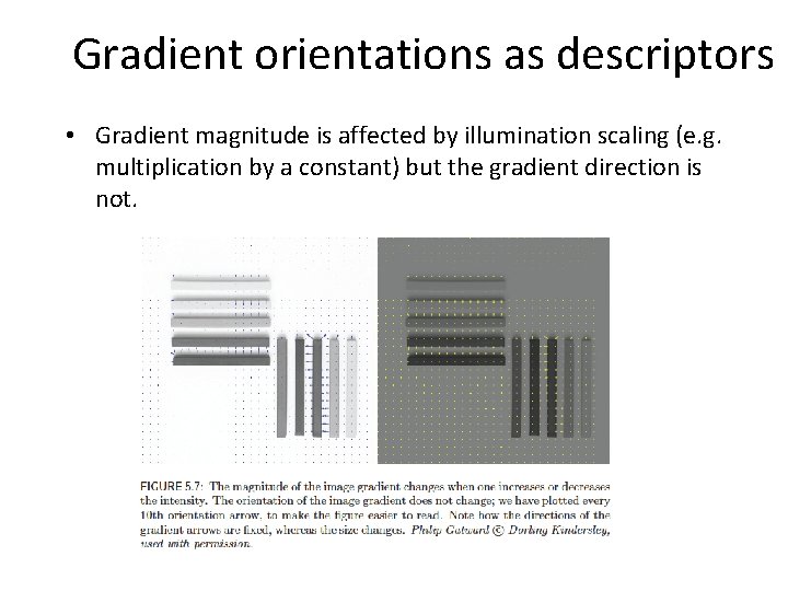 Gradient orientations as descriptors • Gradient magnitude is affected by illumination scaling (e. g.