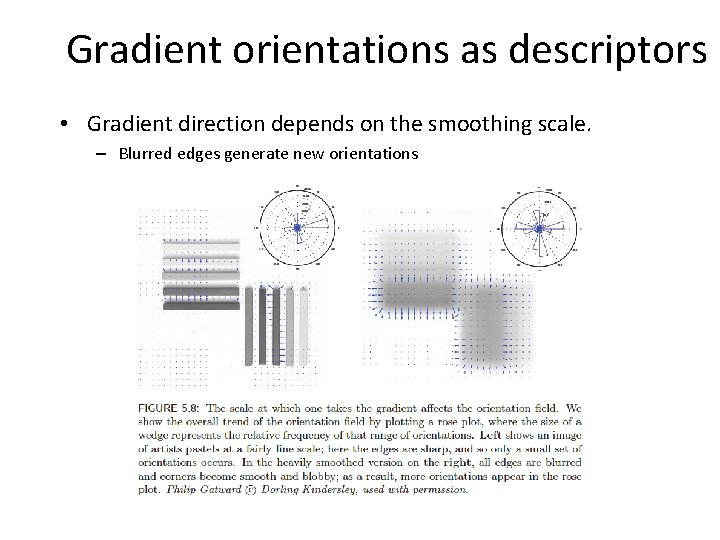 Gradient orientations as descriptors • Gradient direction depends on the smoothing scale. – Blurred