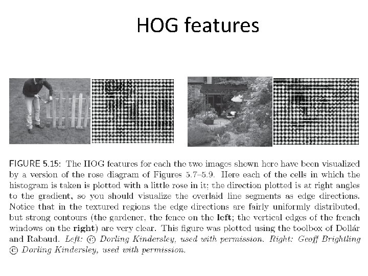 HOG features 