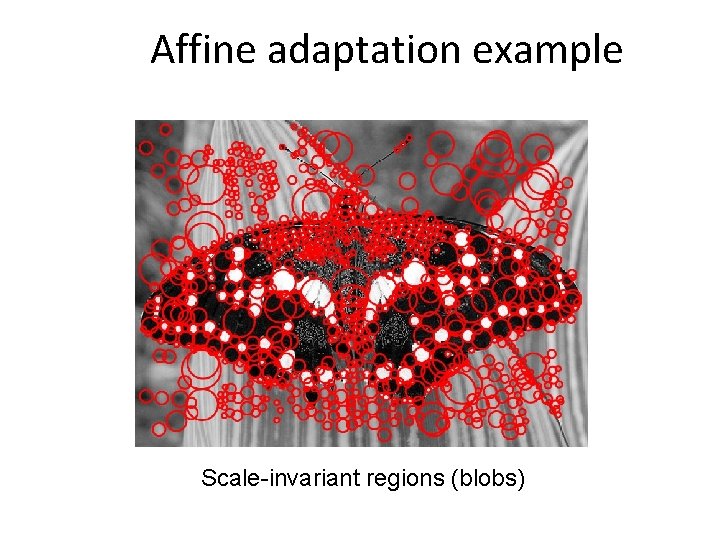 Affine adaptation example Scale-invariant regions (blobs) 