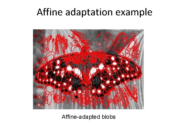 Affine adaptation example Affine-adapted blobs 