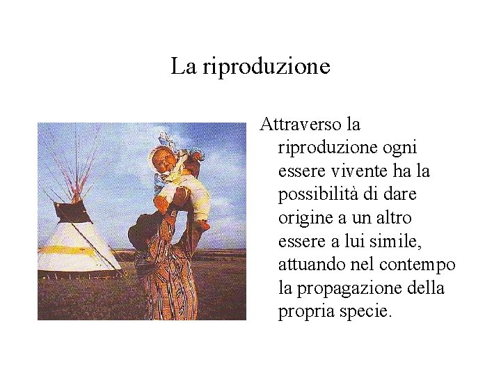 La riproduzione Attraverso la riproduzione ogni essere vivente ha la possibilità di dare origine