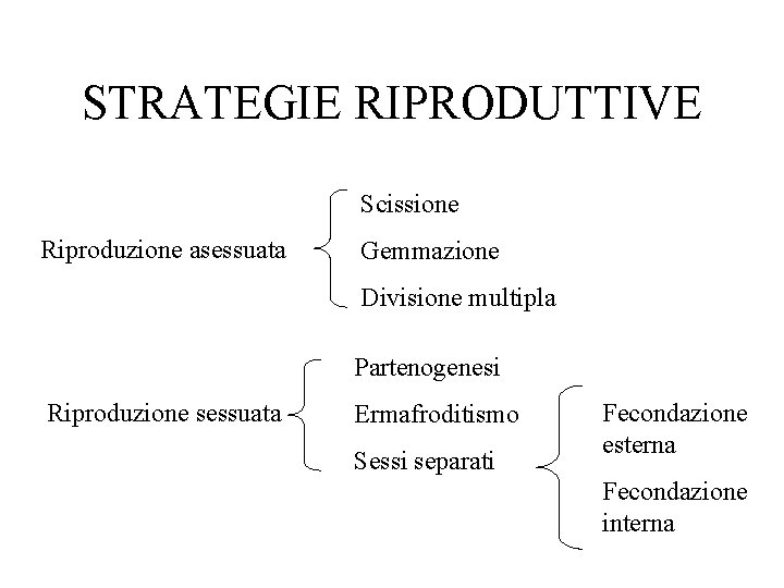 STRATEGIE RIPRODUTTIVE Scissione Riproduzione asessuata Gemmazione Divisione multipla Partenogenesi Riproduzione sessuata Ermafroditismo Sessi separati