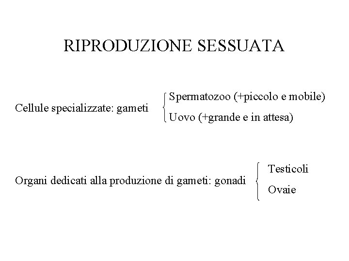 RIPRODUZIONE SESSUATA Cellule specializzate: gameti Spermatozoo (+piccolo e mobile) Uovo (+grande e in attesa)