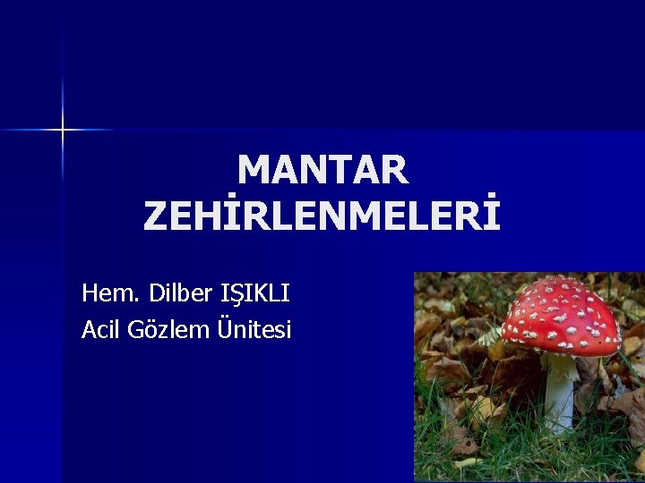 MANTAR ZEHİRLENMELERİ Hem. Dilber IŞIKLI Acil Gözlem Ünitesi 