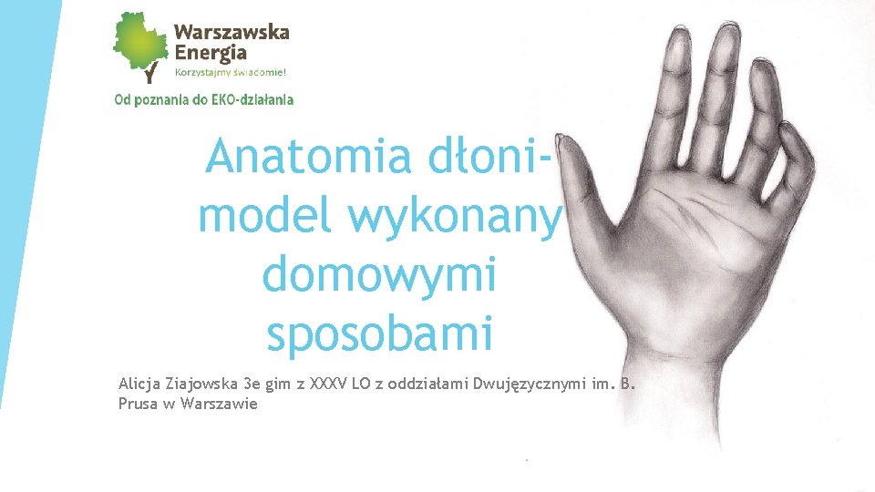 Anatomia dłonimodel wykonany domowymi sposobami Alicja Ziajowska 3 e gim z XXXV LO z