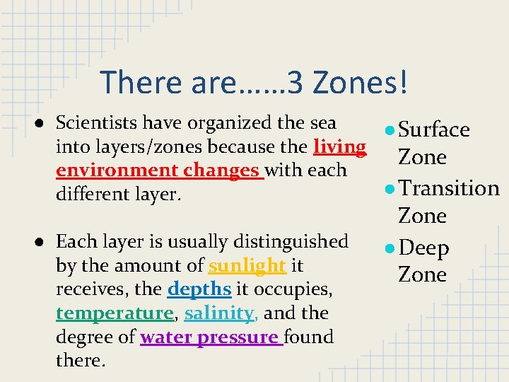 There are…… 3 Zones! ● Scientists have organized the sea ● Surface into layers/zones