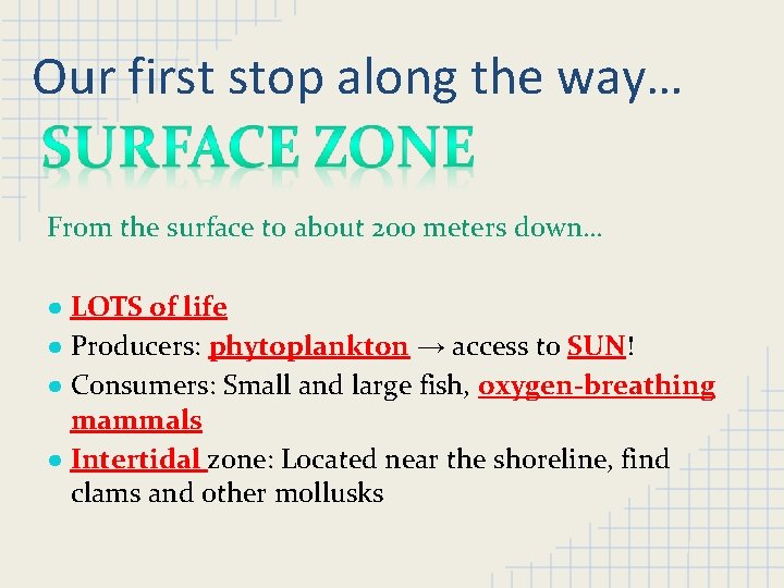 Our first stop along the way… From the surface to about 200 meters down…