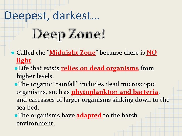 Deepest, darkest… ● Called the “Midnight Zone” because there is NO light. ●Life that