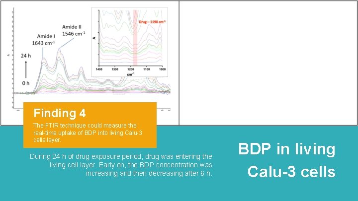 Finding 4 The FTIR technique could measure the real-time uptake of BDP into living Finding 4 The FTIR technique could measure the real-time uptake of BDP into living