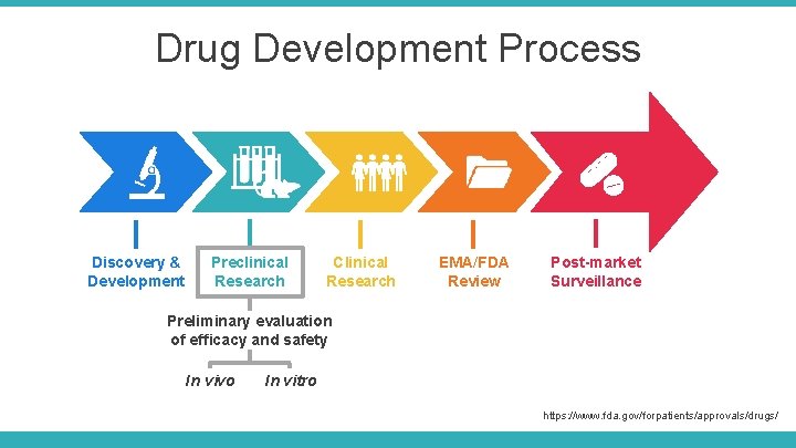 Drug Development Process Discovery & Development Preclinical Research Clinical Research EMA/FDA Review Post-market Surveillance Drug Development Process Discovery & Development Preclinical Research Clinical Research EMA/FDA Review Post-market Surveillance