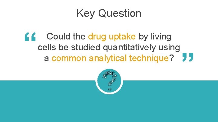 Key Question “ “ Could the drug uptake by living cells be studied quantitatively Key Question “ “ Could the drug uptake by living cells be studied quantitatively