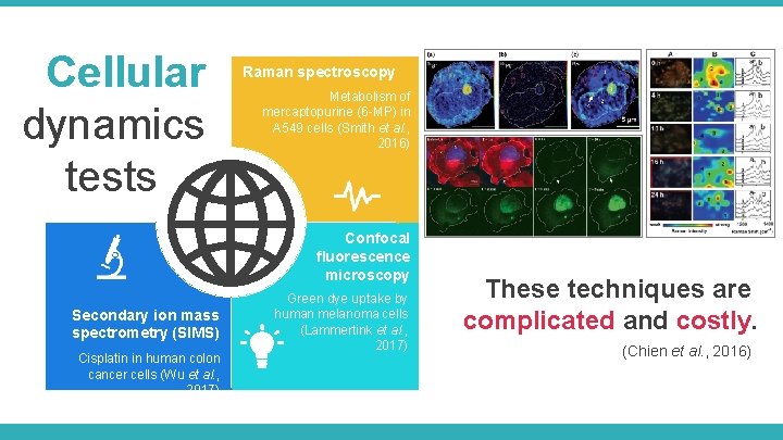 Cellular dynamics tests Raman spectroscopy Metabolism of mercaptopurine (6 -MP) in A 549 cells Cellular dynamics tests Raman spectroscopy Metabolism of mercaptopurine (6 -MP) in A 549 cells
