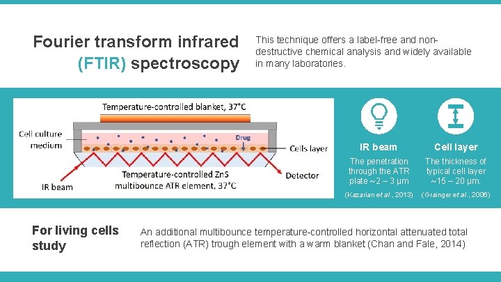 Fourier transform infrared (FTIR) spectroscopy For living cells study This technique offers a label-free Fourier transform infrared (FTIR) spectroscopy For living cells study This technique offers a label-free