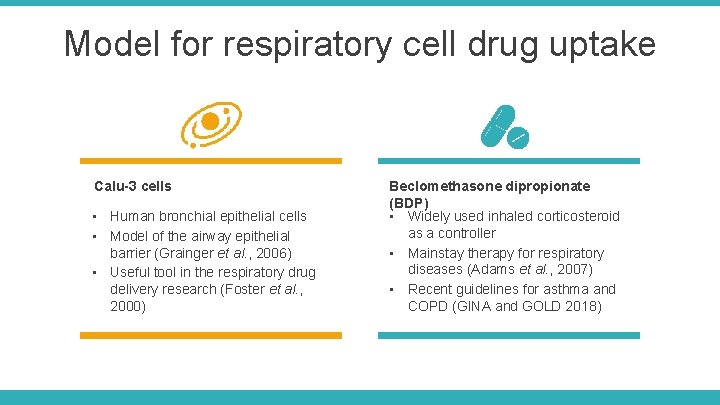 Model for respiratory cell drug uptake Calu-3 cells • Human bronchial epithelial cells • Model for respiratory cell drug uptake Calu-3 cells • Human bronchial epithelial cells •