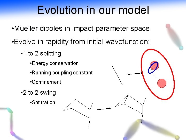 Evolution in our model • Mueller dipoles in impact parameter space • Evolve in