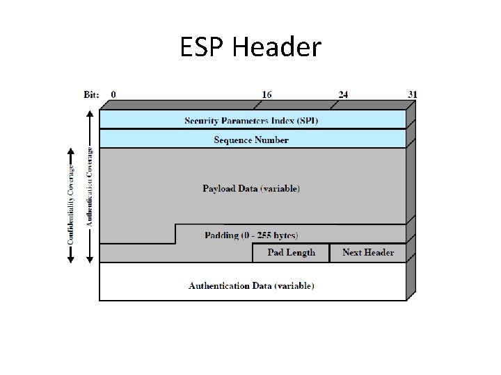 ESP Header 