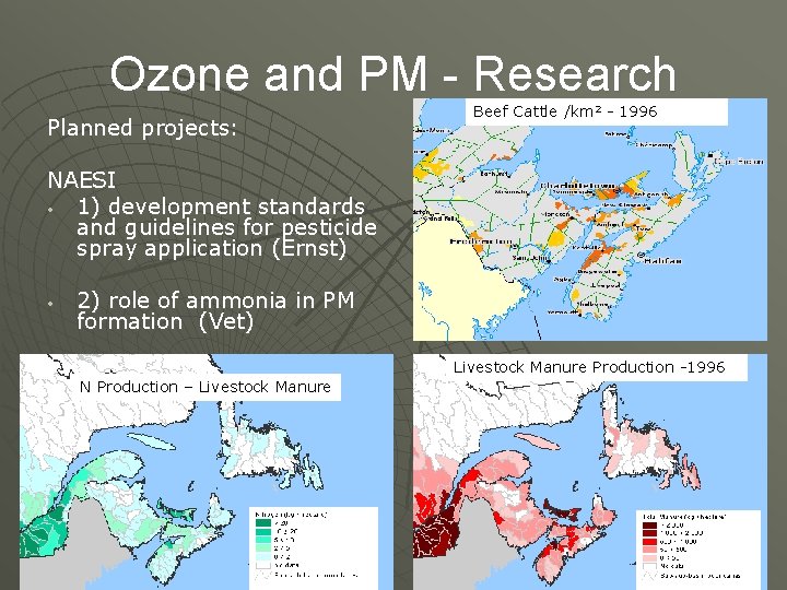 Ozone and PM - Research Planned projects: Beef Cattle /km 2 - 1996 NAESI
