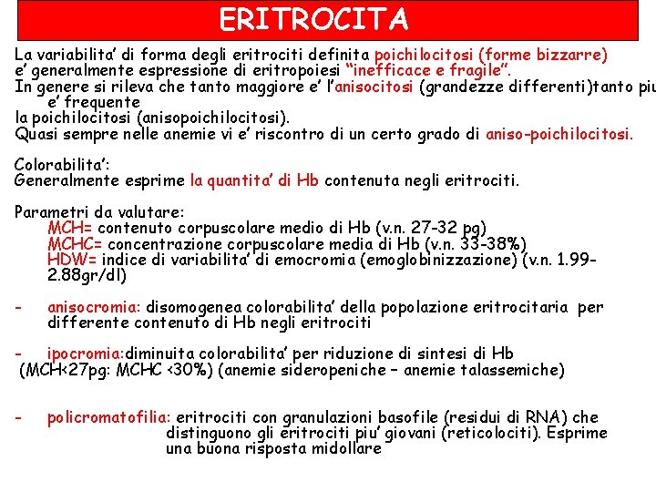 ERITROCITA La variabilita’ di forma degli eritrociti definita poichilocitosi (forme bizzarre) e’ generalmente espressione