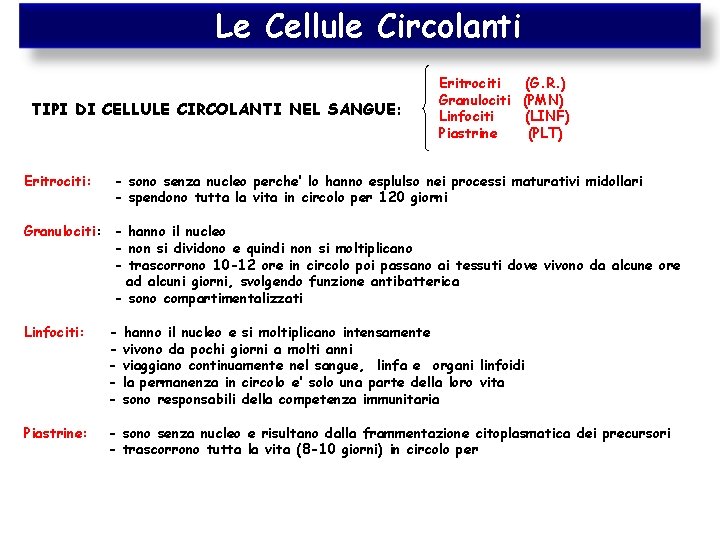 Le Cellule Circolanti TIPI DI CELLULE CIRCOLANTI NEL SANGUE: Eritrociti (G. R. ) Granulociti