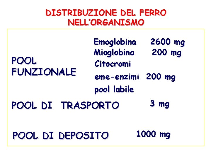 DISTRIBUZIONE DEL FERRO NELL’ORGANISMO POOL FUNZIONALE Emoglobina Mioglobina Citocromi 2600 mg 200 mg eme-enzimi