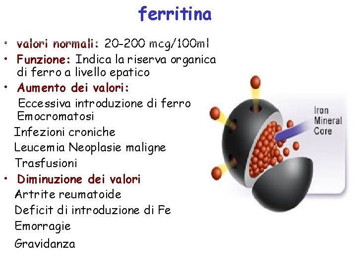 ferritina • valori normali: 20 -200 mcg/100 ml • Funzione: Indica la riserva organica