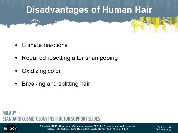 Disadvantages of Human Hair • Climate reactions • Required resetting after shampooing • Oxidizing