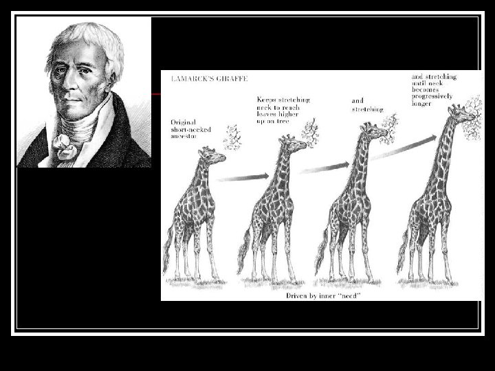 Evolution Darwins Theory Evolution of Populations History of
