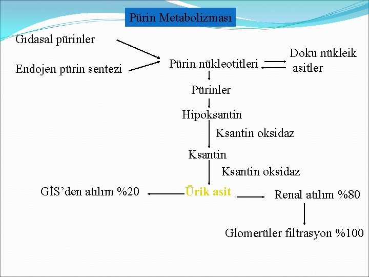 Pürin Metabolizması Gıdasal pürinler Endojen pürin sentezi Pürin nükleotitleri Doku nükleik asitler Pürinler Hipoksantin