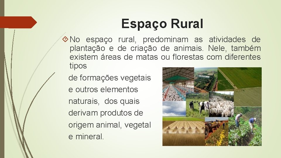 Espaço Rural No espaço rural, predominam as atividades de plantação e de criação de