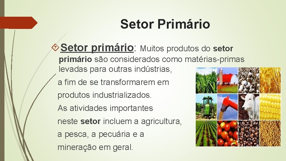 Setor Primário Setor primário: Muitos produtos do setor primário são considerados como matérias-primas levadas