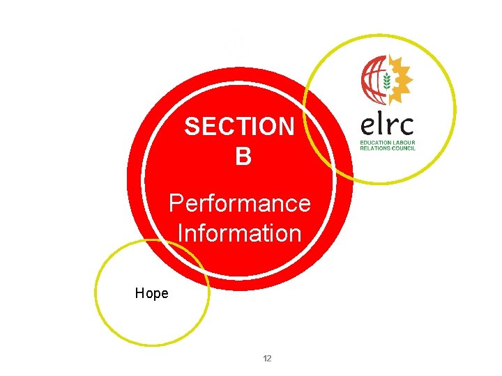 SECTION B Performance Information Hope 12 