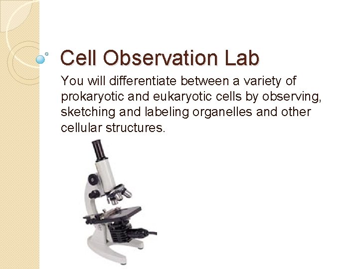 Cell Observation Lab You will differentiate between a variety of prokaryotic and eukaryotic cells