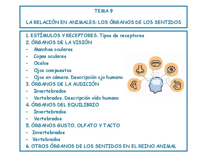 TEMA 9 LA RELACIÓN EN ANIMALES: LOS ÓRGANOS DE LOS SENTIDOS 1. ESTÍMULOS Y