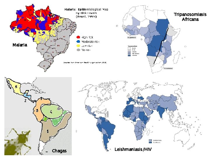 Tripanosomiasis Africana Malaria Chagas Leishmaniasis/HIV 