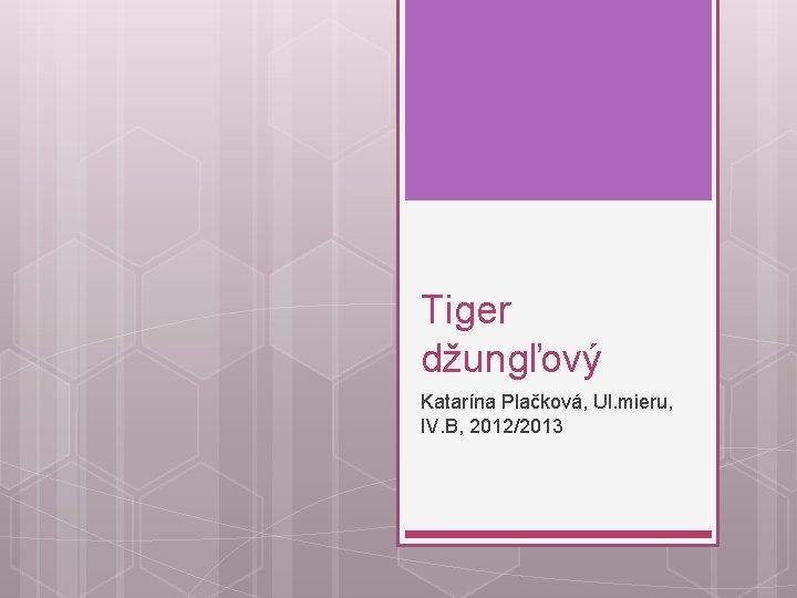 Tiger džungľový Katarína Plačková, Ul. mieru, IV. B, 2012/2013 