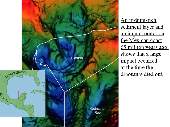 An iridium-rich sediment layer and an impact crater on the Mexican coast 65 million